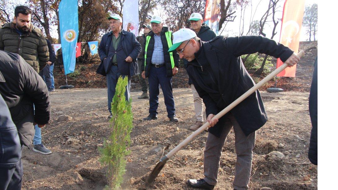 İlçe Milli Eğitim Müdürümüz Mehmet ETİK Fidan Dikimine Katıldı